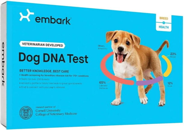 黄金日，将Embark的狗狗DNA测试降低36%