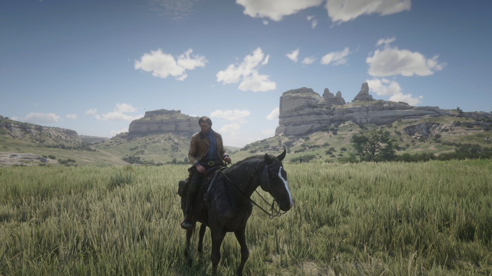 Red Dead Redemption 2 (for PC)